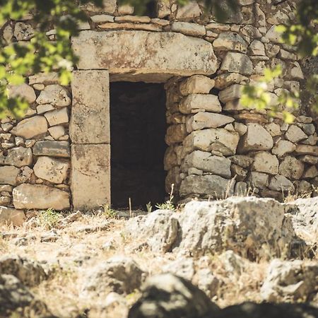 Masseria Storica Pilapalucci Villa Toritto Kültér fotó